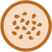 food icon