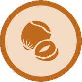 food icon